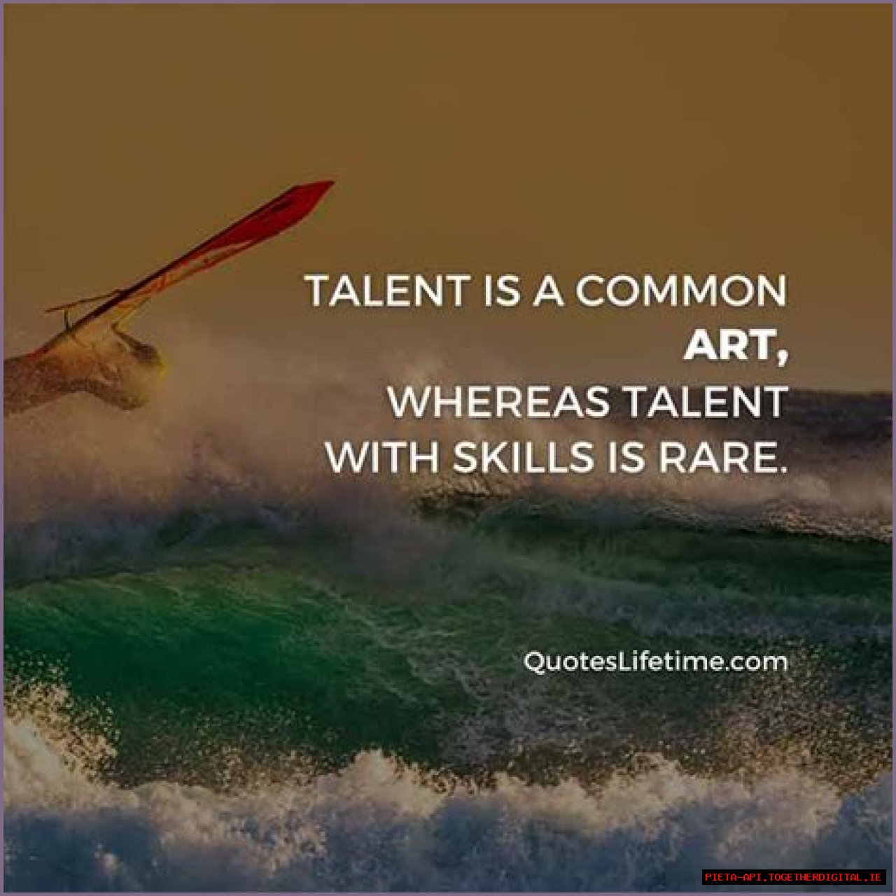 A Journey Of Talent And Inspiration