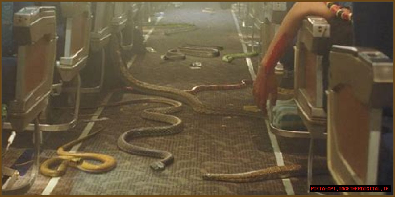 Is 'Plane' Rooted In Reality?