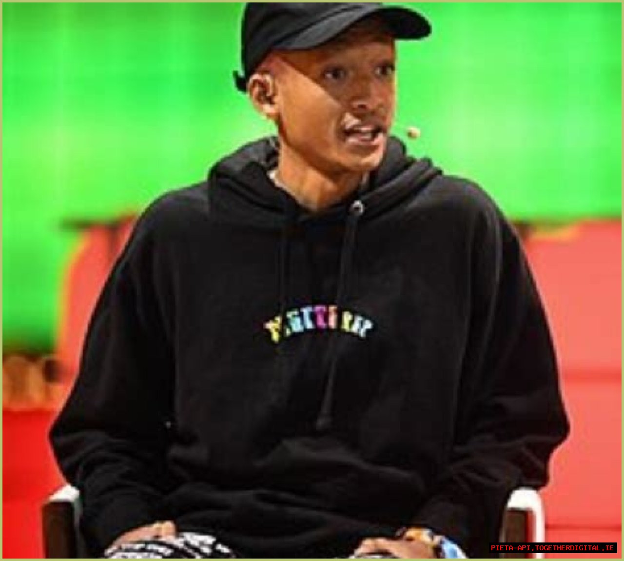 Unveiling The Multifaceted Artist And Activist